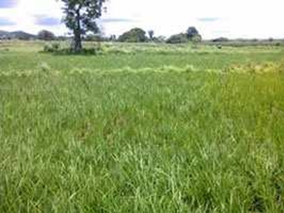 Agricultural Land 2000 Sq.ft. for Sale in