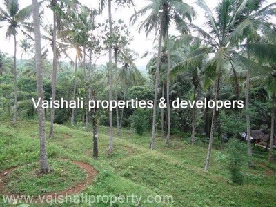 22 Cent Residential Plot for Sale in Peruvayal, Kozhikode