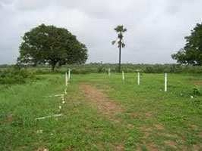 Residential Plot 243 Sq. Yards for Sale in