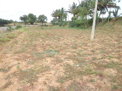 Agricultural Land 3 Acre for Sale in Jabera, Damoh