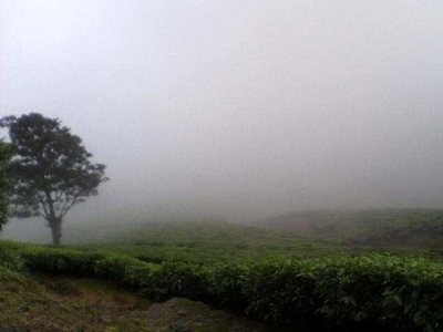 Agricultural Land 3748 Acre for Sale in Munnar, Idukki