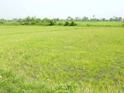Agricultural Land 3.8 Acre for Sale in