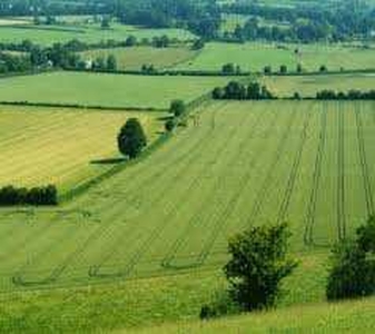 Agricultural Land 40 Acre for Sale in Ambala Highway, Zirakpur