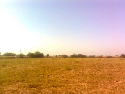 Agricultural Land 42 Bigha for Sale in Una, Junagadh