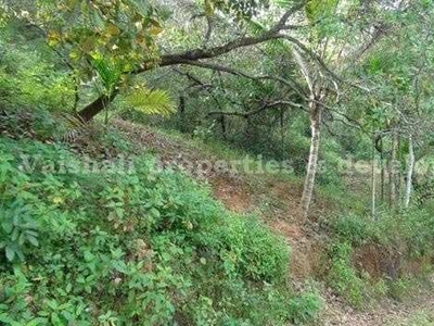 Residential Plot 5 Cent for Sale in Thondayad, Kozhikode