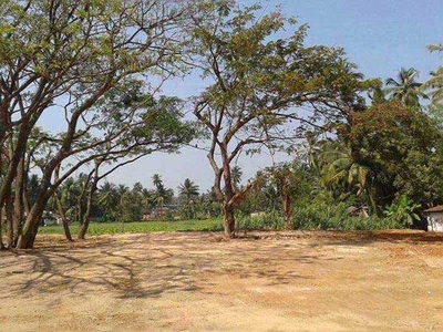 Residential Plot 80 Cent for Sale in Attavar, Mangalore