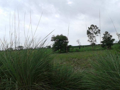 Agricultural Land 100 Acre for Sale in Saidpur Budaun