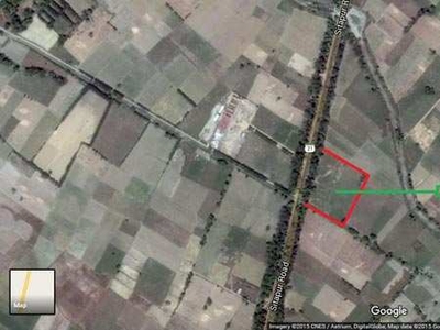 Agricultural Land 13 Bigha for Sale in SH 21, Lakhimpur Kheri