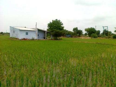 Agricultural Land 20 Bigha for Sale in Bansur, Alwar