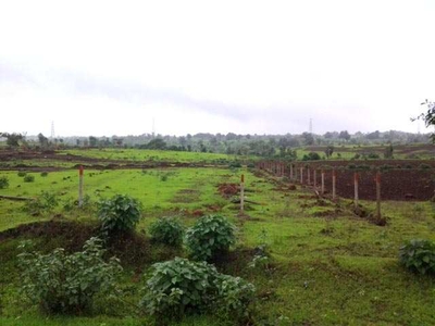 Agricultural Land 21500 Sq.ft. for Sale in Talawade, Pune
