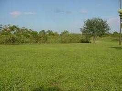 Agricultural Land 30 Bigha for Sale in