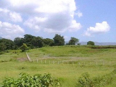 Agricultural Land 66000 Sq.ft. for Sale in Talawade, Pune