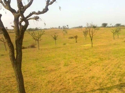 Agricultural Land 80 Bigha for Sale in Jai Narayan Vyas Colony, Bikaner