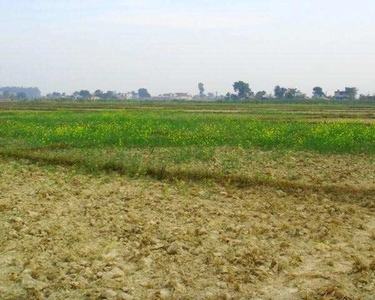 Agricultural Land 9 Bigha for Sale in Badnagar, Ujjain