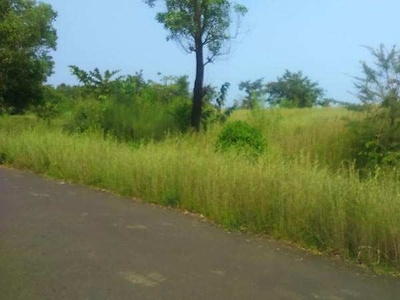 Agricultural Land 50 Acre for Sale in Alibag, Raigad