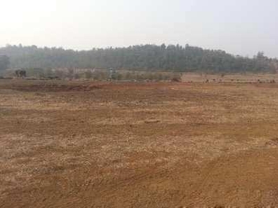 Agricultural Land 10 Acre for Sale in Jabera, Damoh