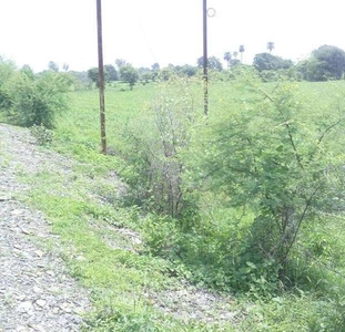 Agricultural Land 2 Acre for Sale in Jabera, Damoh