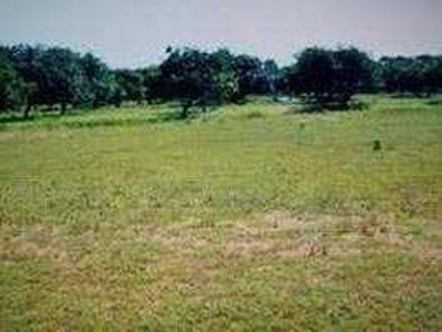 Commercial Land 200 Acre for Sale in Baitalpur, Bilaspur