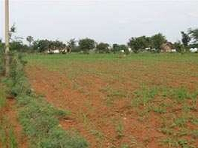 Commercial Land 1 Acre for Sale in