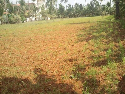 Commercial Land 25 Cent for Sale in Chettipalayam, Tirupur