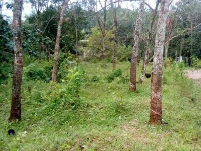 Residential Plot 30 Cent for Sale in Adoor, Pathanamthitta