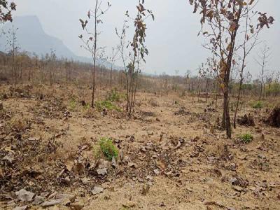 Agricultural Land for Sale in Murbad, Thane