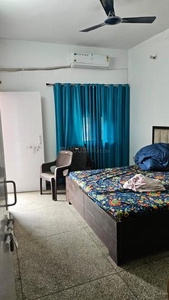 1 BHK Flat for rent in Sector 52, Noida - 600 Sqft