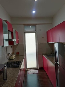 2 BHK Flat for rent in Sector 100, Noida - 1180 Sqft
