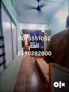 1bhk furnished apartment rent aluva company pady bachelor's allowed