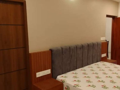 2 BHK FURNISHED BRAND NEW FLAT FOR RENT NEAR MIMS HOSPITAL & LULU MALL