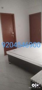 3 bhk flate available for rent in kusum vihar