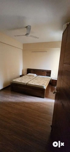 3bhk fully furnished independent flat near pathribagh chowk