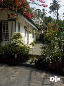 Beautiful cottage style villa