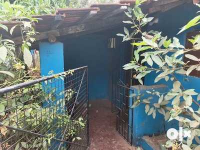 House in malbhat