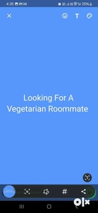 Looking For A Vegetarian Roommate