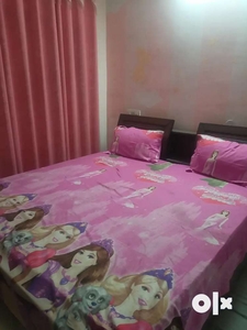 Only vegetarian family furnished 2bhk 2bath sector 4panchkula