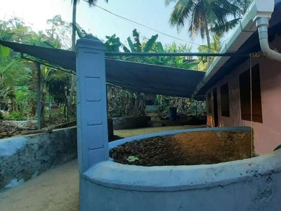 Traditional Kerala house for rent