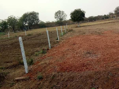 Agricultural Land 1 Acre for Sale in Shabad, Rangareddy