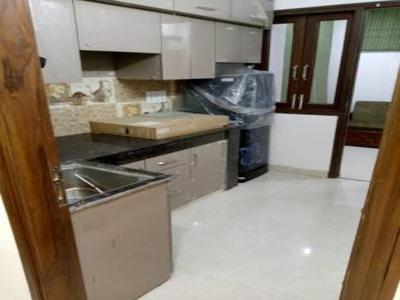 1000 sq ft 2 BHK 2T Apartment for rent in DLF Phase 4 at Sector 27, Gurgaon by Agent muskan reality