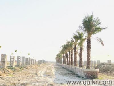 1205 Sq. ft Plot for Sale in Sultanpur Road, Lucknow