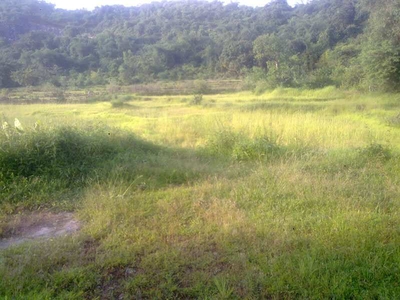 Agricultural Land 1 Acre for Sale in Ankola, Uttara Kannada