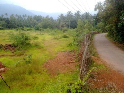 Agricultural Land 1 Acre for Sale in Ankola, Uttara Kannada