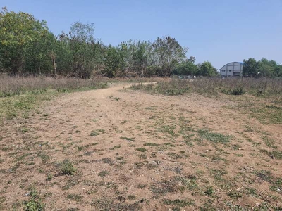 Agricultural Land 1 Acre for Sale in Talasari, Palghar