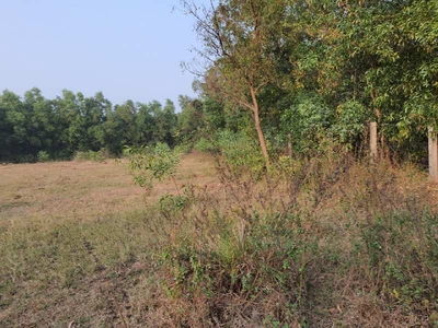 Commercial Land 1 Acre for Sale in Wada, Palghar
