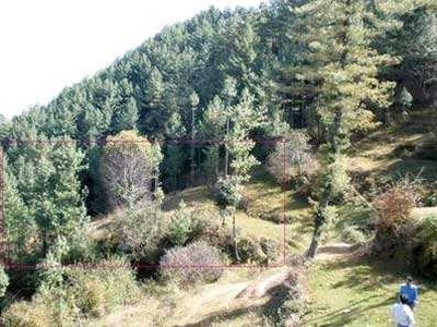 1 BHK Farm House 900 Sq. Yards for Sale in Dharampur, Solan
