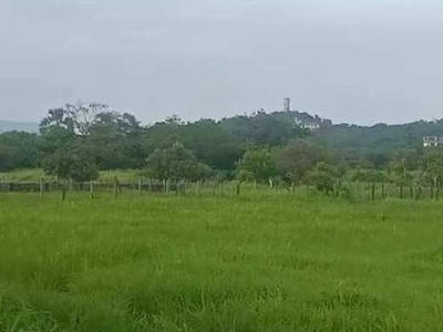 Residential Plot 10 Acre for Sale in Mandwa, Alibag, Raigad