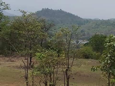 Agricultural Land 10 Ares for Sale in Roha, Raigad