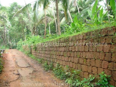 10 Cent Residential Plot for Sale in Chelavoor, Kozhikode