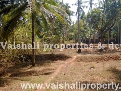 Residential Plot 10 Cent for Sale in Palayam, Kozhikode