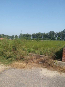 Residential Plot 10 Marla for Sale in Greenfield Colony, Jalandhar